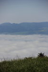 Náhled fotky