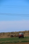 Náhled fotky