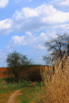 Náhled fotky