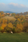 Náhled fotky