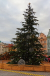Náhled fotky