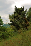 Náhled fotky
