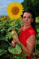 Náhled Pavla slunečnice 2026